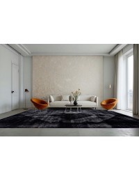 Sort Persien Vintage Tæppe  370 x 277 cm