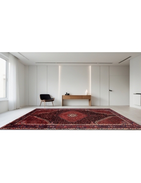 Rød Persia Hamadan Teppe 310 x 170 cm - view 1