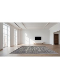 Grey Persia Soba 290 x 224 cm - view 2