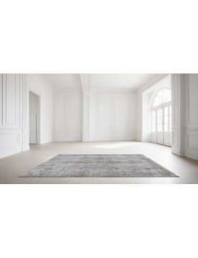 Vintage Teppe 266 X 165