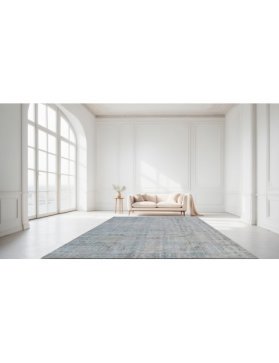 Vintage Teppe 293 X 177