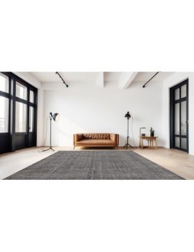 Vintage Teppe 305 X 213