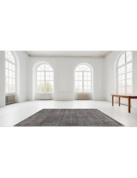 Vintage Teppe 281 X 171