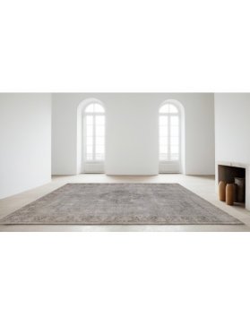 Vintage Carpet 371 X 276