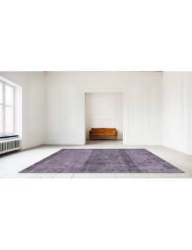 Vintage Teppe 290 X 169