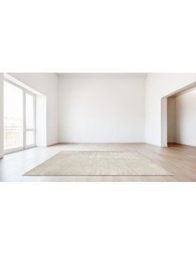 Soie Tencel 240 x 170