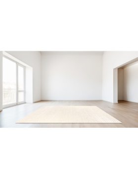 Soie Tencel 240 x 170