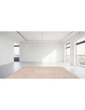 Persisk vintage teppe 293 x 202