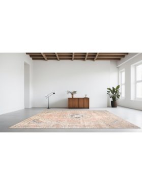 Persischer Vintage Teppich 490 x 295