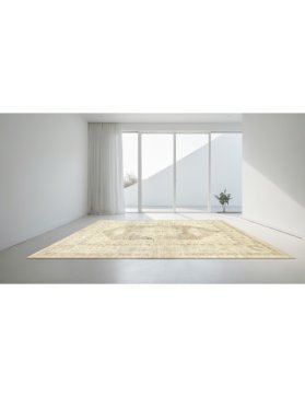 Persisk Tæppe 302 x 201