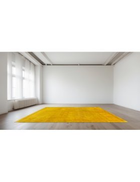 Gabbeh Persan 223 x 158