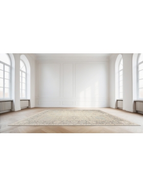 Grey Pakistan Ziegler Carpet 364 x 271 cm - view 1