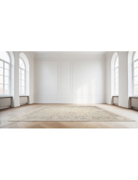 Gris Pakistan Alfombra Ziegler 364 x 271 cm - view 1