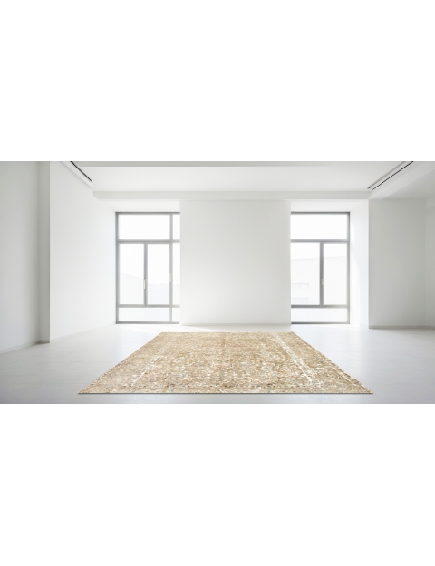 Beige Persiano Tappeto vintage persiano 250 x 211 cm - view 2