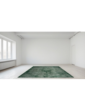 Green Persia Persian Vintage Carpet 300 x 235 cm - view 1