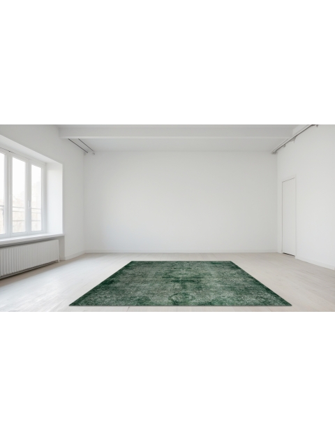 Vert Persan Tapis Persan vintage 300 x 235 cm - view 1