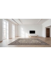 Beige Persien Ardakan Patina 300 x 196 cm - view 1