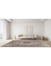 Beige Persien Kashan Patina 397 x 292 cm - view 1