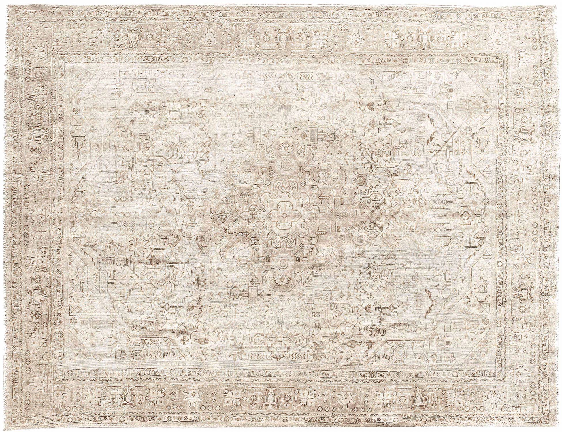 Retro Rug  beige  <br/>329 x 250 cm