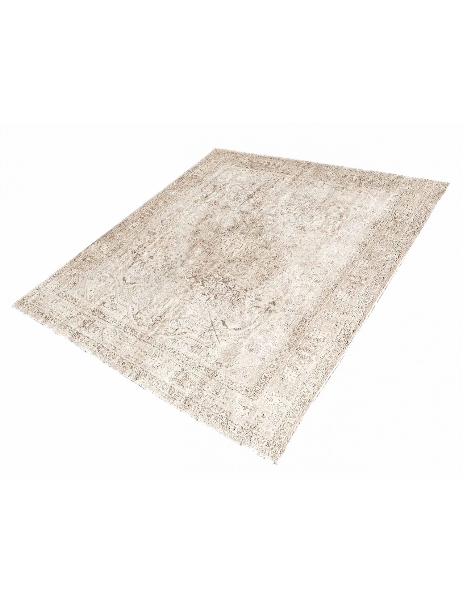 Retro Rug  beige  <br/>329 x 250 cm