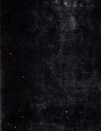 Nero Persiano Tappeto Vintage 348 x 135 cm - view 1