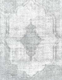 Grau Persien Vintage Heritage  460 x 296 cm