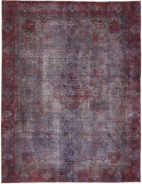 Vintage Teppe 310 X 204