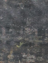 Grigio Persiano Tappeto Vintage 125 x 110 cm - view 1