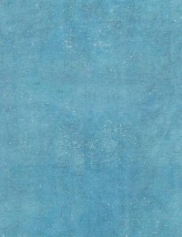 Blå Persien Persisk Vintagetæppe 240 x 140 cm - view 4