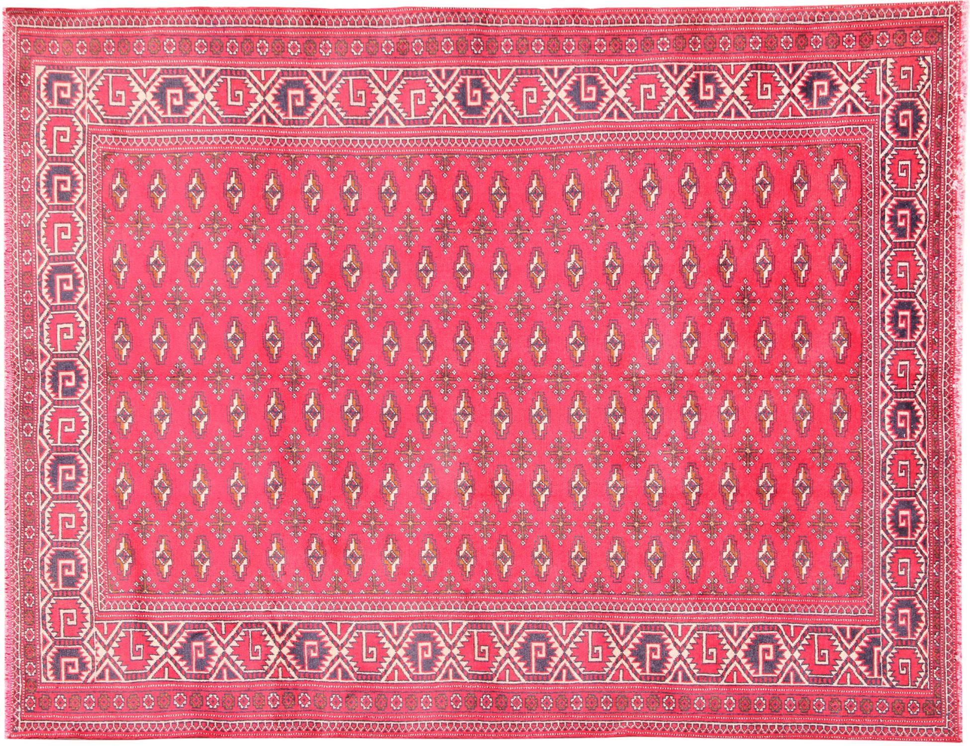 Turkman Tappeto  rosso <br/>264 x 199 cm