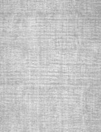 Grigio Persiano Tappeto Vintage 320 x 220 cm - view 4