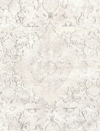 Grey Persia Persian Vintage Carpet  370 x 290 cm