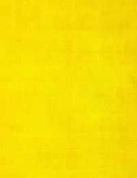 Gul Turkiet vintage matta  293 x 190 cm