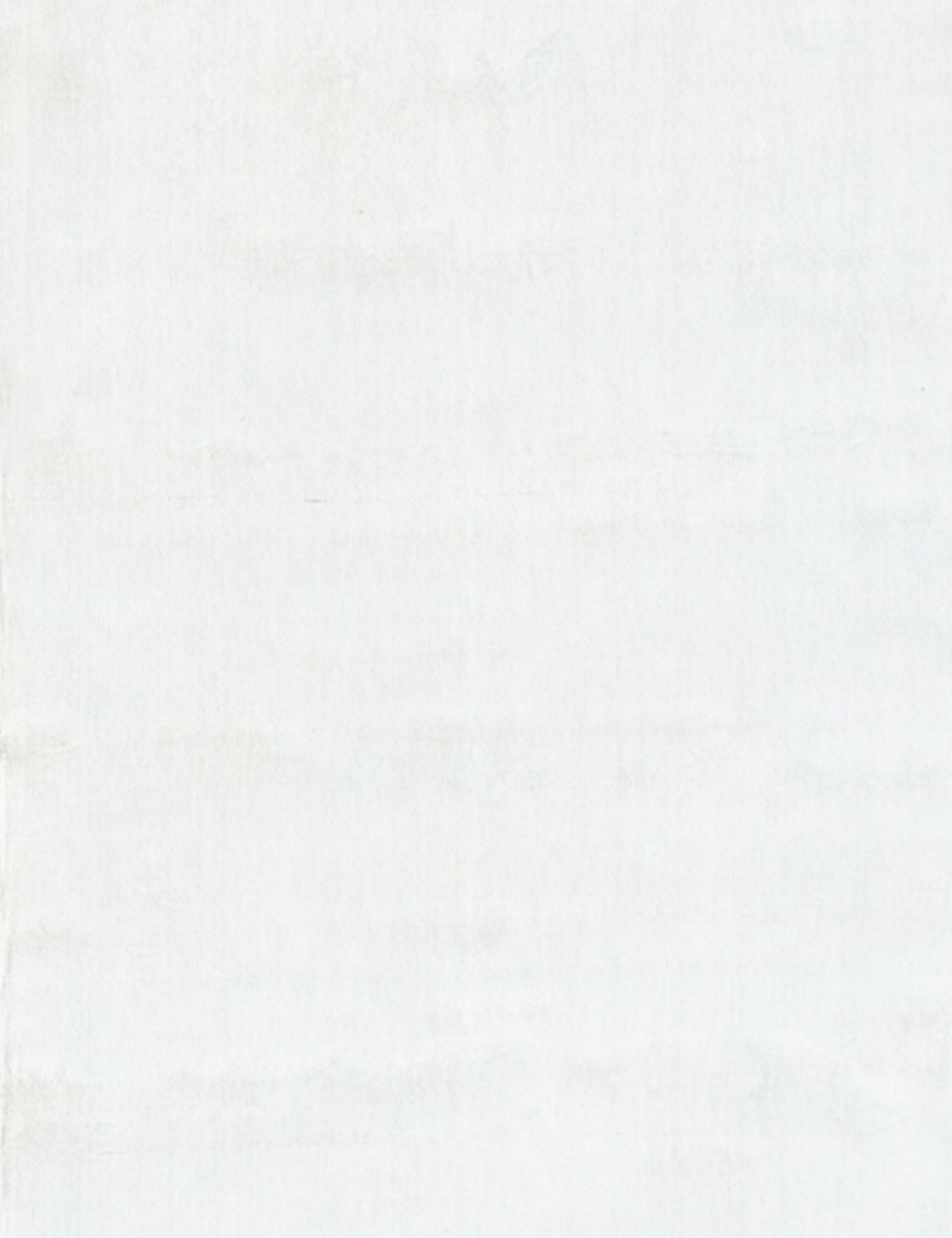 Soie Tencel   502 x 83 cm