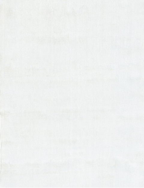 Beige  India Tencel Silk  502 x 83 cm