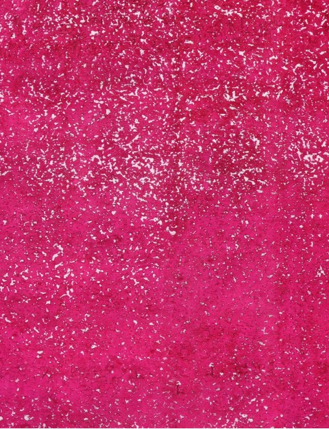 Tapis Persan vintage  <br/>290 x 220 cm