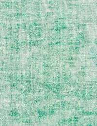 Vert Turc Tapis vintage  290 x 200 cm