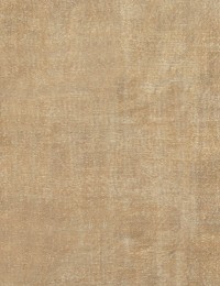Beige Turco Tappeto vintage 226 x 148 cm - view 4