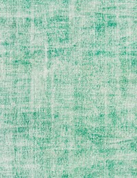 Grøn Tyrkiet Vintagetæppe 200 x 200 cm - view 3