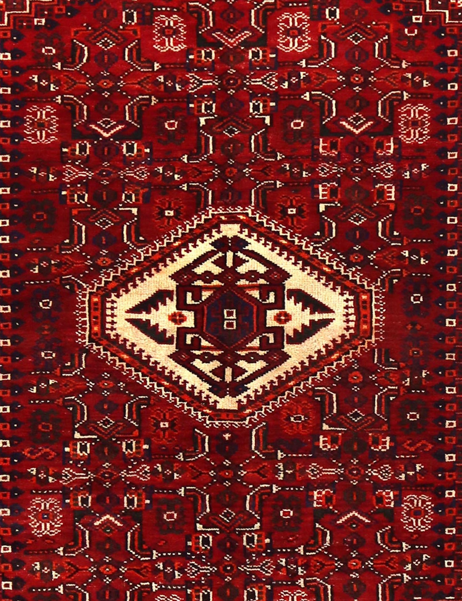 Shiraz   248 x 152 cm