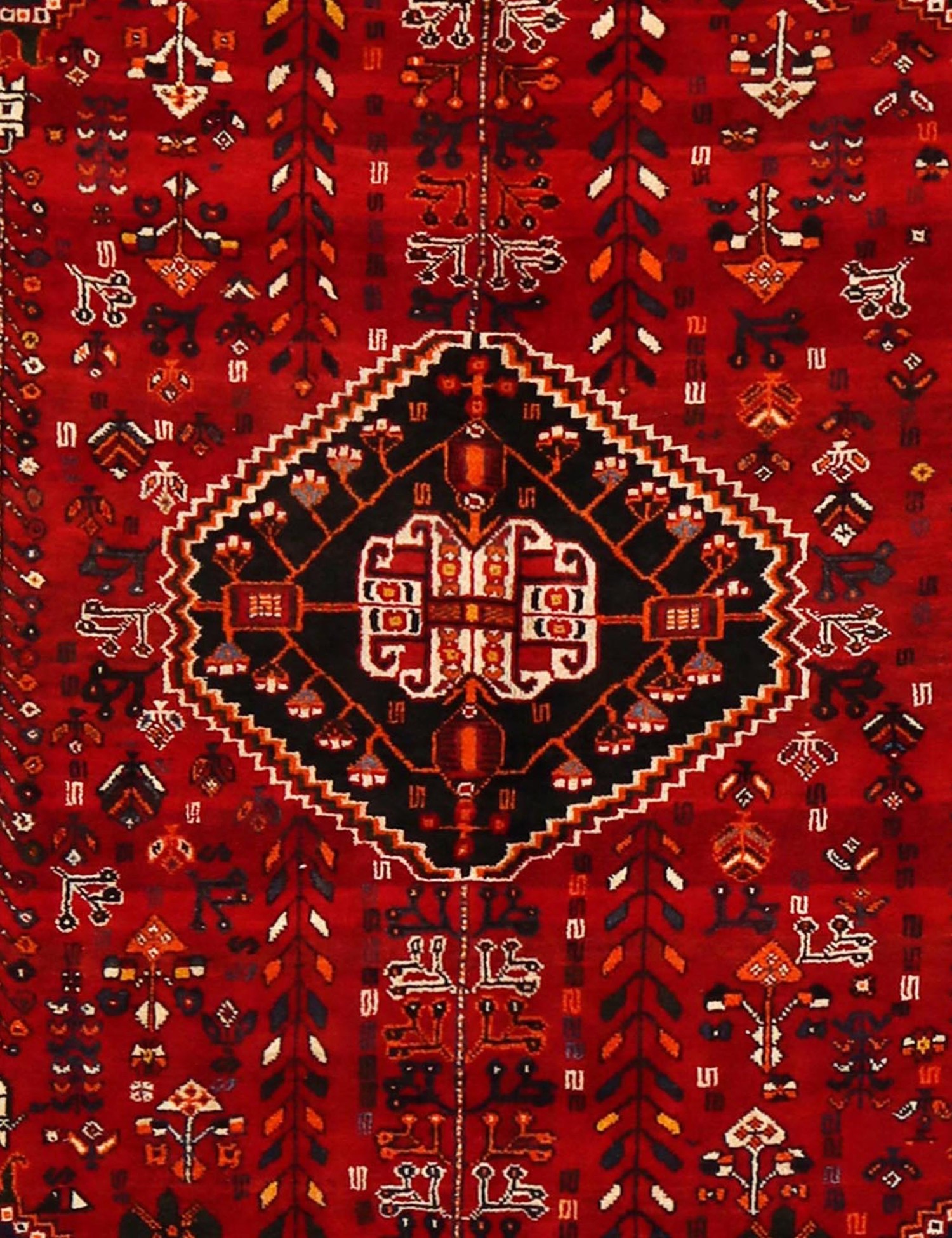 Shiraz   252 x 164 cm