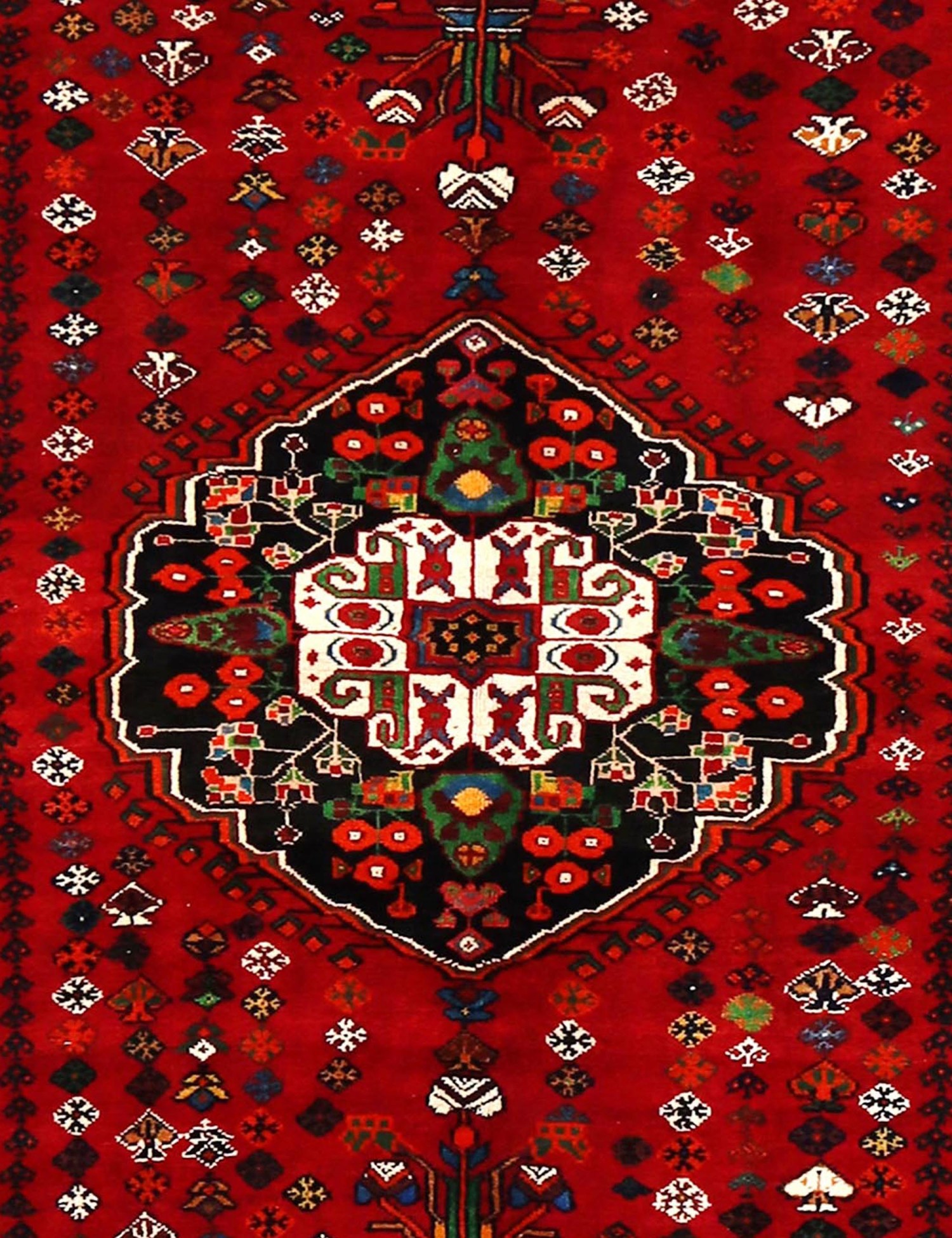 Shiraz   266 x 167 cm