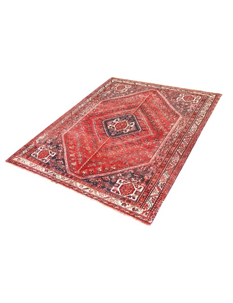 Shiraz  <br/>244 x 152 cm