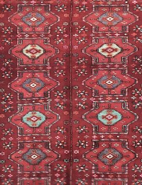 Red  Persia Shiraz  275 x 166 cm