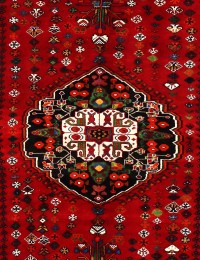 Red  Persia Shiraz  266 x 167 cm