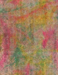 Multi kleur Perzië Vintage Tapijt 300 x 275 cm - view 3
