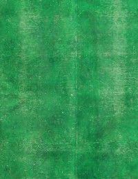 Grøn Persien Vintagetæppe  312 x 260 cm