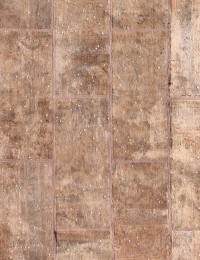 Beige Persia Stonewash 245 x 207 cm - view 3