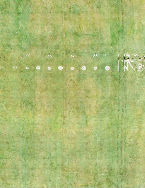 Vert Persan Tapis Persan vintage  370 x 290 cm