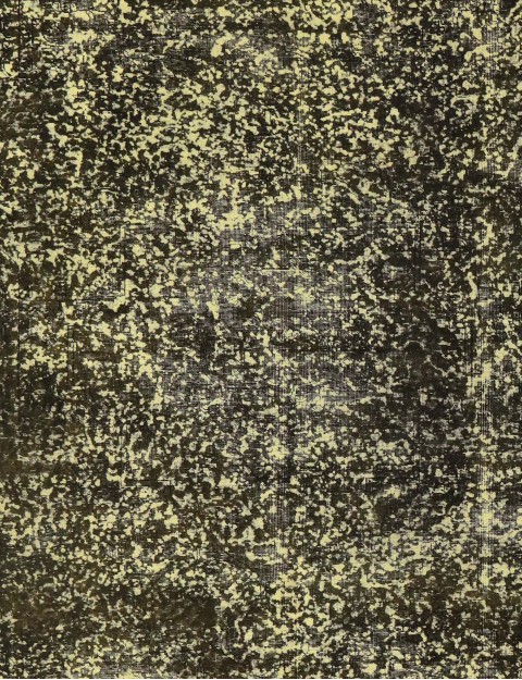 Persisk vintage teppe 300 x 200